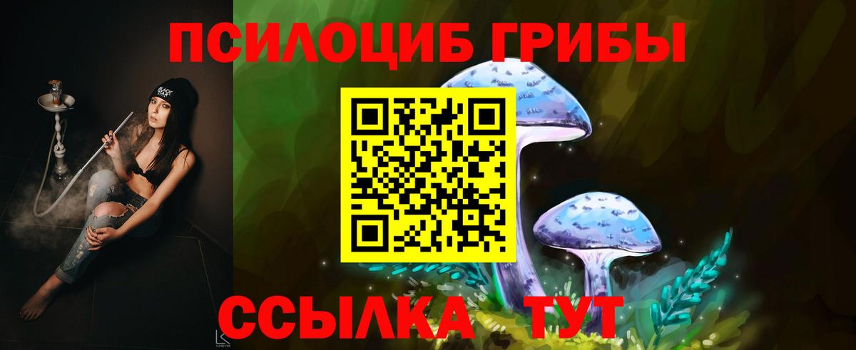 Галлюциногенные грибы Cubensis  Вход с VPN  Курск 